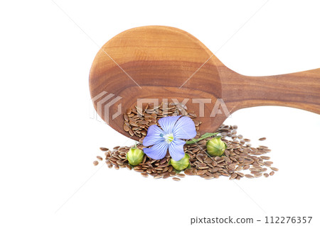 Linseed and flax blossom with seed capsules on white Linseed and flax blossom with seed capsules on white 112276357