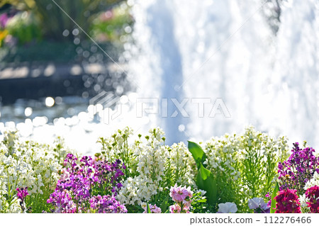 五顏六色的鮮花和噴泉 112276466