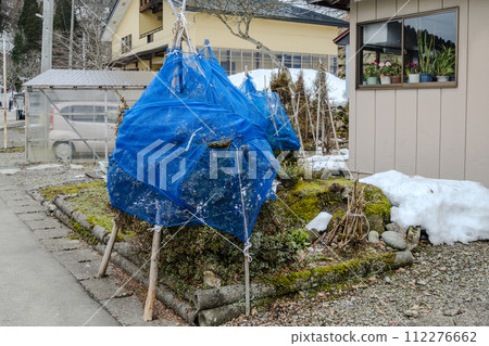 下雪 下雪 112276662