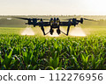 The agricultural drone is flying and spraying fertilizer in a green cornfield. 112276956