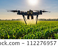 The agricultural drone is flying and spraying fertilizer in a green cornfield. 112276957