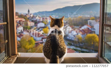 看著窗外的貓 看著窗外的貓 112277057