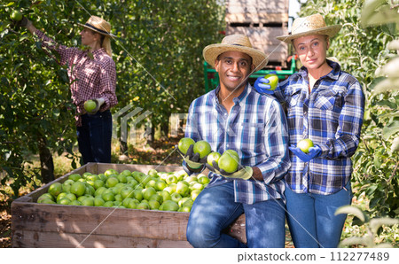 Farmers holding green apples satisfied with harvest Farmers holding green apples satisfied with harvest 112277489