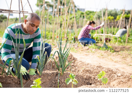 Young pakistani man farmer during working with garlic Young pakistani man farmer during working with garlic 112277525