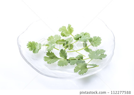 新鮮香菜，綠色和黃色蔬菜，綠色香草，新鮮收穫的蔬菜，健康蔬菜，香菜，山寨 112277588