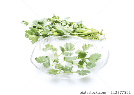 新鮮香菜，綠色和黃色蔬菜，綠色香草，新鮮收穫的蔬菜，健康蔬菜，香菜，山寨 112277591