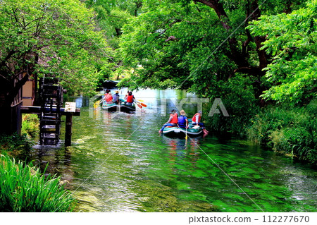 Daio Wasabi Farm in June Nature of Shinshu Landscape of Shinshu 112277670