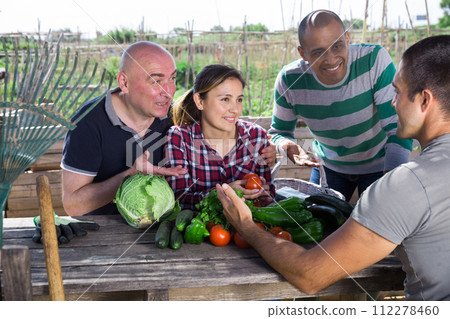 Professional gardeners talking after harvesting of vegetables Professional gardeners talking after harvesting of vegetables 112278460