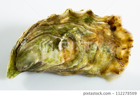 Image of tasty raw closed oysters on white background Image of tasty raw closed oysters on white background 112278509