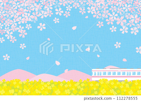 火車穿過油菜花和櫻花田的背景圖 火車穿過油菜花和櫻花田的背景圖 112278555