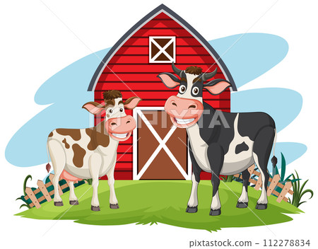 Happy Cows in Front of Red Barn 112278834