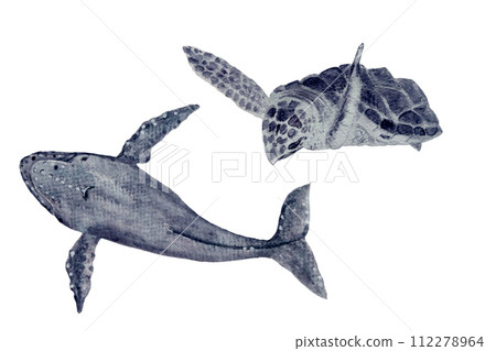 Watercolor hand-drawn sea turtle and a humpback whale isolated on white Watercolor hand-drawn sea turtle and a humpback whale isolated on white 112278964