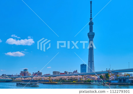 Looking towards Azumabashi 1-chome, Sumida-ku, where cherry blossoms are blooming across the Sumida River from Sumida Park in Hanakawado, Taito-ku, Tokyo in spring. Looking towards Azumabashi 1-chome, Sumida-ku, where cherry blossoms are blooming across the Sumida River from Sumida Park in Hanakawado, Taito-ku, Tokyo in spring. 112279301