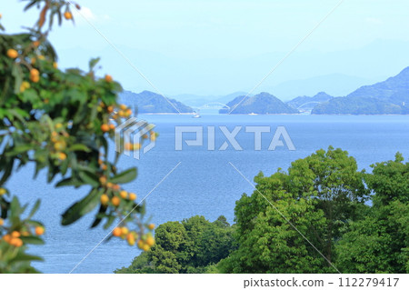 Oshiba Island when loquats ripen 112279417