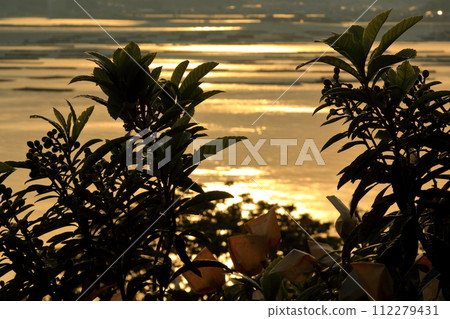 Image of warm Oshiba Island Image of warm Oshiba Island 112279431