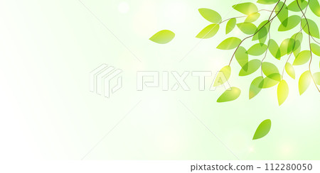 新的綠色留下風景背景 新的綠色留下風景背景 112280050