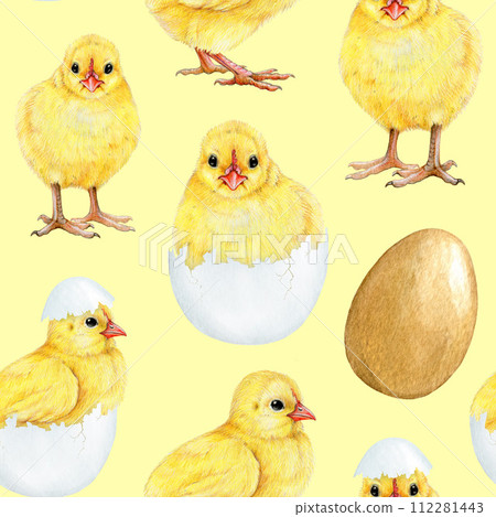Cute small yellow chick seamless pattern. Watercolor painted illustration. Hand drawn fluffy newborn chicken hatched from the egg decoration. Baby chicken farm bird seamless pattern 112281443