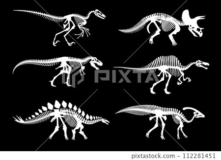 Dinosaur fossil skeletons and Jurassic dino bones imprints, vector white silhouettes. Dinosaur archeology fossil skeletons of extinct reptile, T-rex tyrannosaurus or velociraptor and stegosaurus bones 112281451