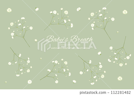 手繪滿天星材料集 112281482