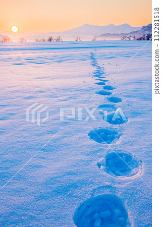 新潟縣小千谷市：雪原、日出、沐浴在朝霞中的越後三山 112281518