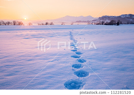 Ojiya City, Niigata Prefecture: Snow fields, sunrise, and Echigo Sanzan dyed in the morning glow 112281520