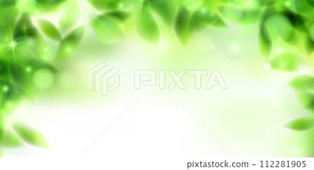 New green leaves landscape background New green leaves landscape background 112281905