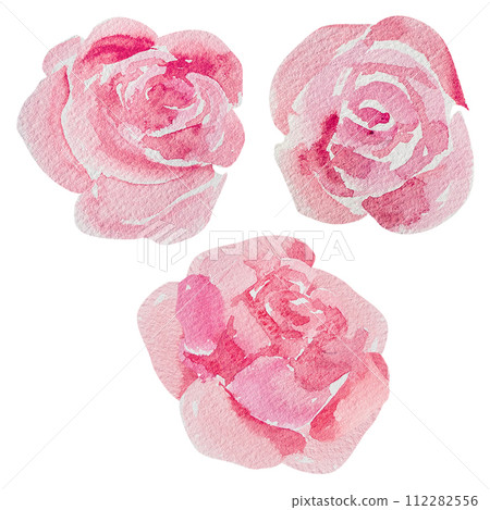 Set of pink abstract roses hand-painted in watercolor. For design and decoration 112282556