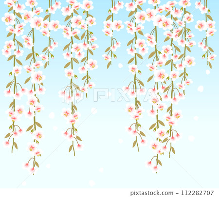 Weeping cherry tree 112282707