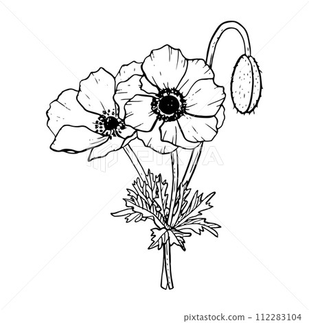 Wildflowers anemone poppies bouquet with field plants and bud vector illustration for spring wedding design and Mothers day cards 112283104