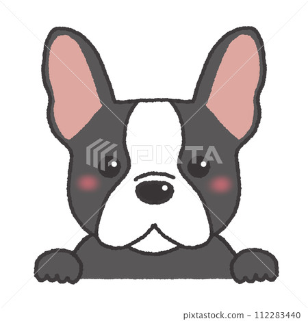 French bulldog with smiling face French bulldog with smiling face 112283440