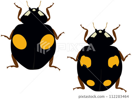 益蟲「奈米瓢蟲」2圖案,黑底2黃圖案,4圖案,黑底黃圖案4,2動物,垂直排 益蟲「奈米瓢蟲」2圖案,黑底2黃圖案,4圖案,黑底黃圖案4,2動物,垂直排 112283464