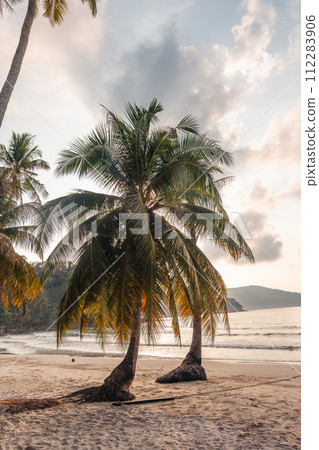 Beach and palm trees in the morning on the island 112283906