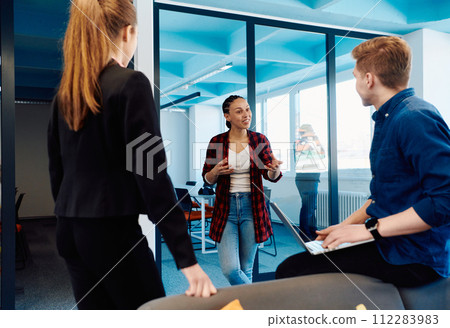 A diverse team of young business people exchanging ideas in a modern startup office 112283983