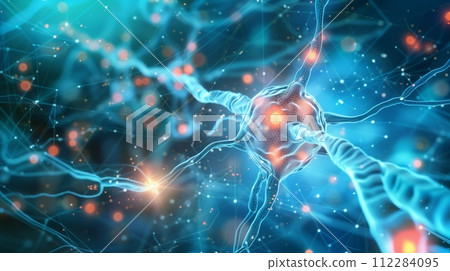 Neurons and synapse cells send electrical and chemical signals. 112284095