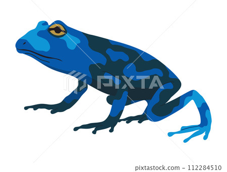 Frog or toad, amphibian animal. Type of froggy. Exotic tropical reptile. Flat vector illustration on white background 112284510