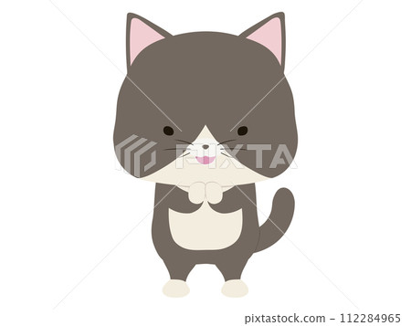 一隻微笑著崇拜的蜂貓 112284965