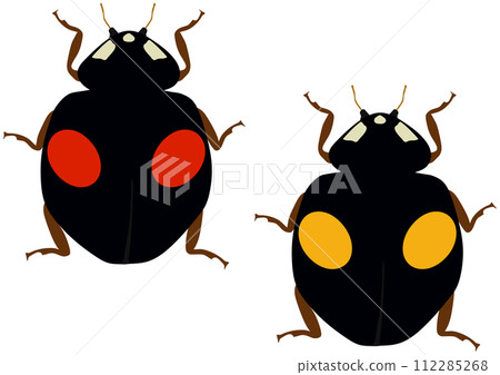 益蟲「奈米瓢蟲」2圖案，黑底紅2圖案，黑底黃圖案2，2隻動物，垂直排 112285268