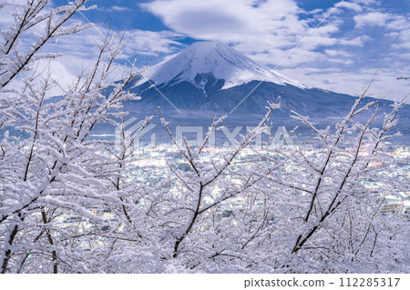 [Yamanashi Prefecture] Mt. Fuji and snowy Arakurayama Sengen Park/Japanese snow scene 112285317