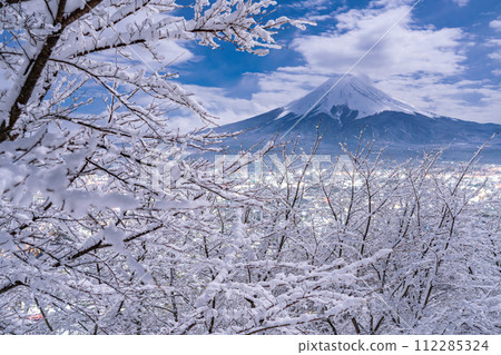 【山梨郡】富士山與白雪皚皚的新倉山淺間公園/日本雪景 112285324