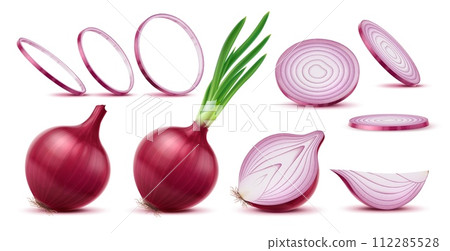 Realistic raw red onion, isolated slice and ring, whole and half vegetable, vector 3d food. Ripe bulb of red or purple onion with fresh green leaves and roots, spicy vegetable, healthy food condiment Realistic raw red onion, isolated slice and ring, whole and half vegetable, vector 3d food. Ripe bulb of red or purple onion with fresh green leaves and roots, spicy vegetable, healthy food condiment 112285528