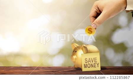 Business hand put golden dollar coins into the piggy bank with notepaper with 'save money' text 112285867