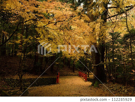 紅色的橋和黃色的秋葉 112285929