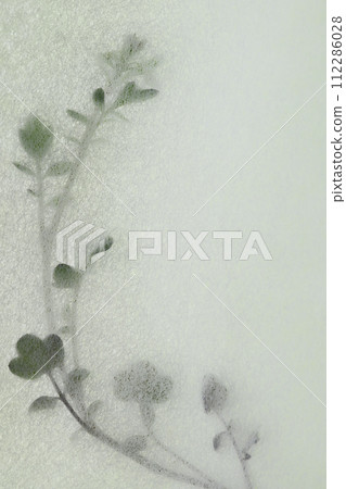 Collaboration of Japanese paper and Tanetsukebana (background material) 112286028