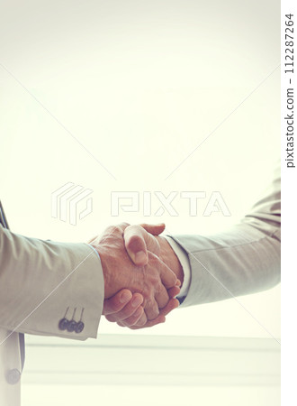 Handshake, business people and agreement in partnership, introduction and thank you for recruitment. Coworkers, closeup and deal for merger in workplace, collaboration and support in cooperation 112287264
