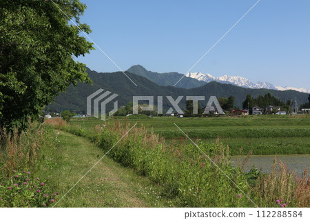 春天,從田野道路上可以看到白雪覆蓋的北阿爾卑斯山 春天,從田野道路上可以看到白雪覆蓋的北阿爾卑斯山 112288584