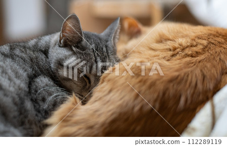 Sleep well 112289119