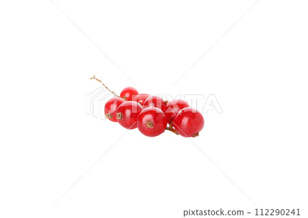 PNG, bunches of aphids isolated on white background. PNG, bunches of aphids isolated on white background. 112290241