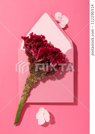 Beautiful, fresh flowers on a pink background. 112290314