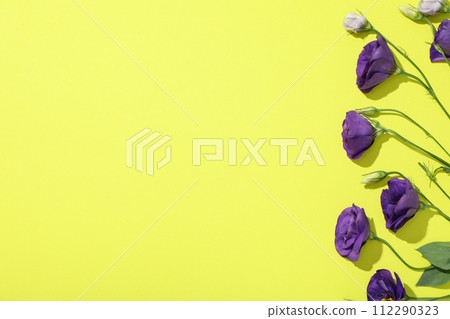 Fresh flowers on a green background, top view. 112290323