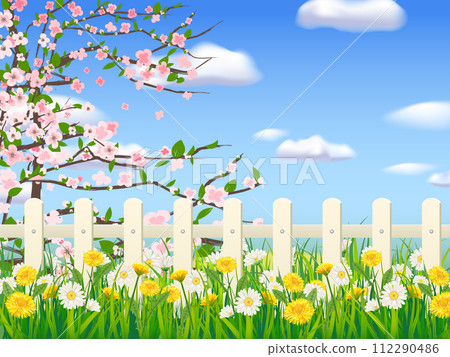 Spring landscape field green grass, blooming tree, daisy, dandelion flowers, white fence, clouds 112290486